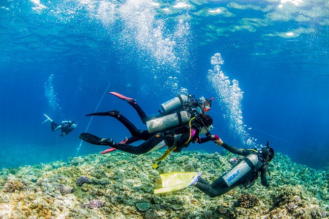 Naha: Full-Day Introductory diving & Snorkeling in the Kerama Islands, Okinawa - Snorkeling after: keep exploring without paying extra