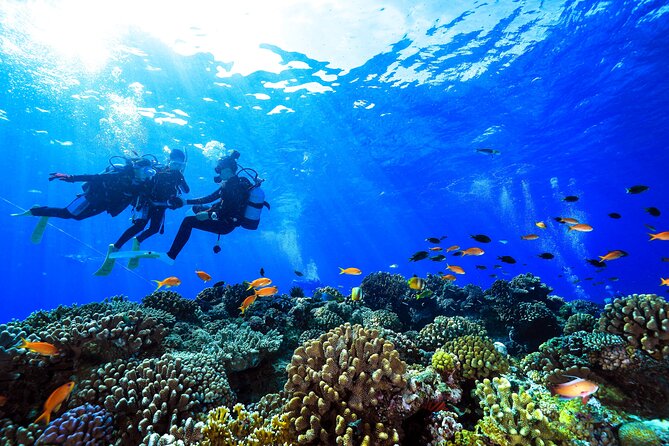 Naha: Full-Day Introductory diving & Snorkeling in the Kerama Islands, Okinawa - Lunchbox breaks and soft drinks: how they keep the day fun