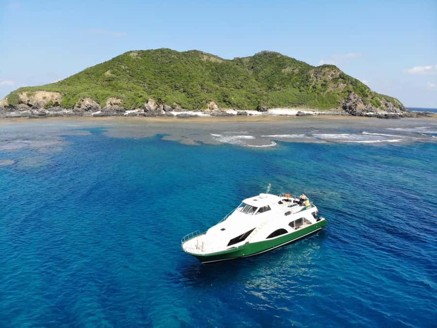 Naha:Kerama Island Experience Dive/Snorkeling/Whale Watching - Key highlights that matter (fast)