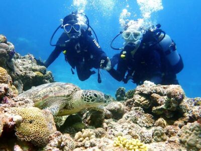 Naha:Kerama Island Experience Dive/Snorkeling/Whale Watching - Small-group comfort and the team’s safety teaching