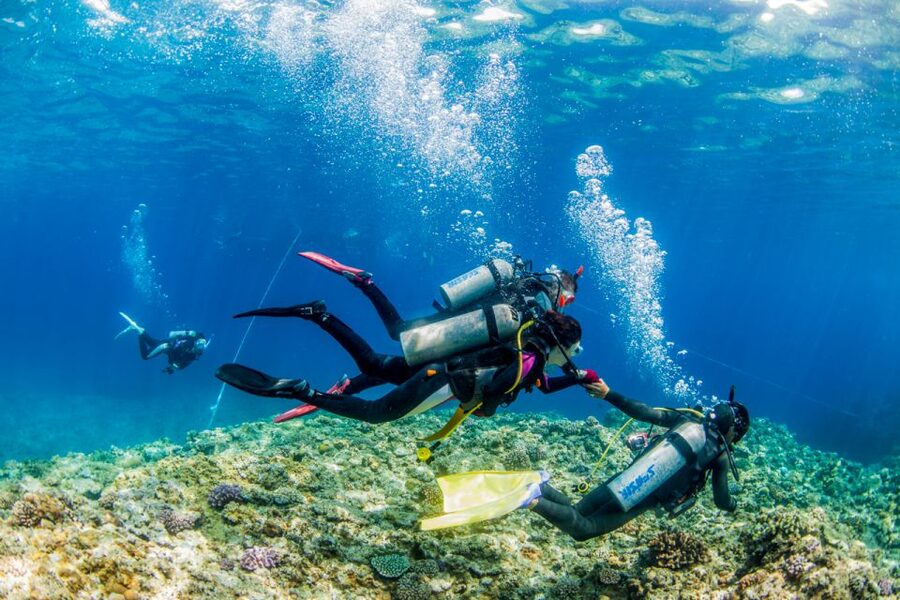 Naha, Okinawa: Kerama Islands Full-Day Intro-Diving Trip - Price and value: why $70 can feel like a steal