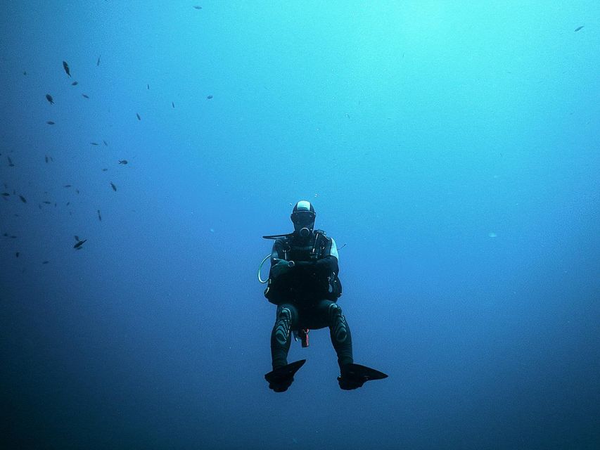 Naxos: Discover Scuba Dive with Nima Dive Center - Quick hits on this Naxos try-scuba experience