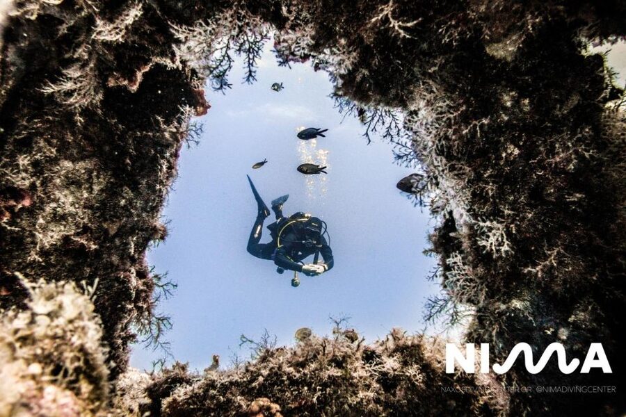 Naxos: Discover Scuba Dive with Nima Dive Center - The instructors: calm coaching beats crowd chaos