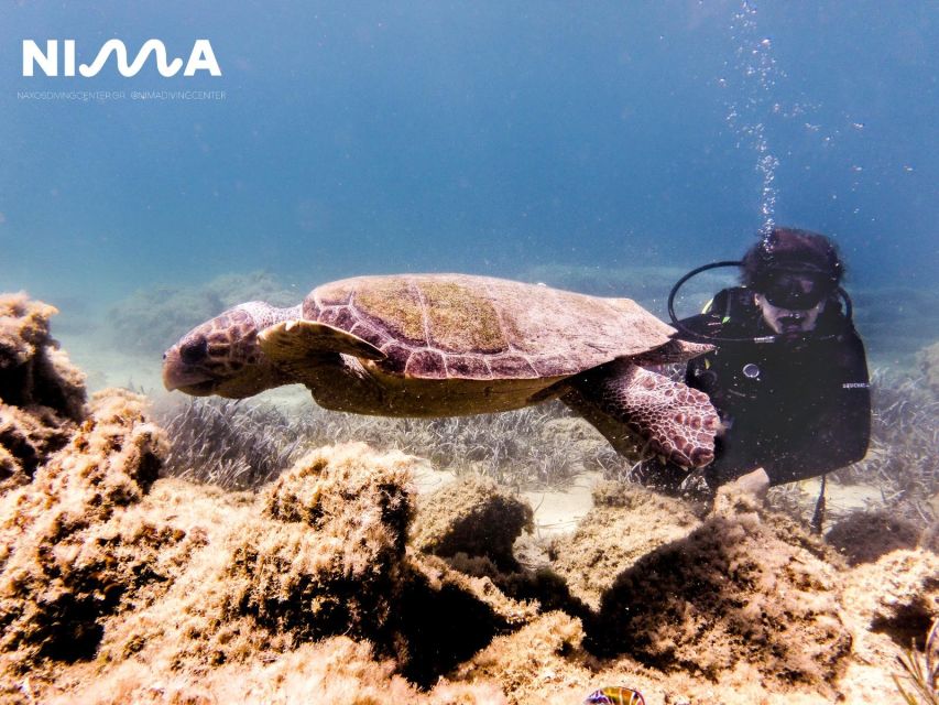 Naxos: Discover Scuba Dive with Nima Dive Center - Depth, air time, and what that means for your first experience
