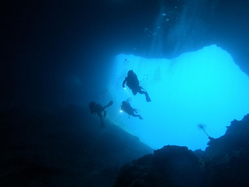 Naxos: Discover Scuba Dive with Nima Dive Center - Your 3-hour timeline: what happens from check-in to leaving