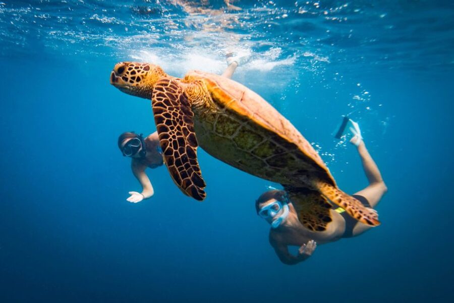 Naxos: Discover Scuba Diving on Agios Georgios Beach - Going to 6 meters with full instructor support