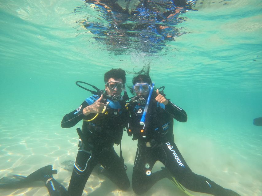 Naxos: Discover Scuba Diving on Agios Georgios Beach - What you might see underwater: octopus, stonefish, and calm coral moments