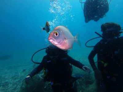 Naxos: Discover Scuba Diving - Your first experience diving - The 35-minute PADI briefing that sets you up for success