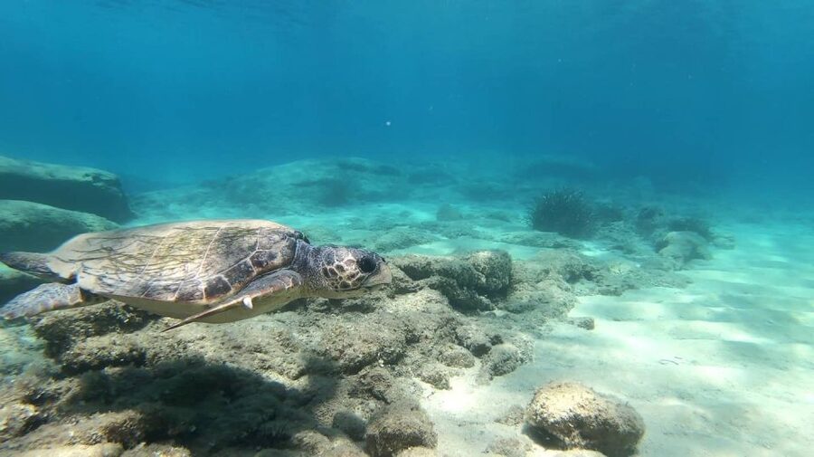 Naxos: Discover Scuba Diving - Your first experience diving - Meltemi protection and easy conditions: why they improve the whole experience
