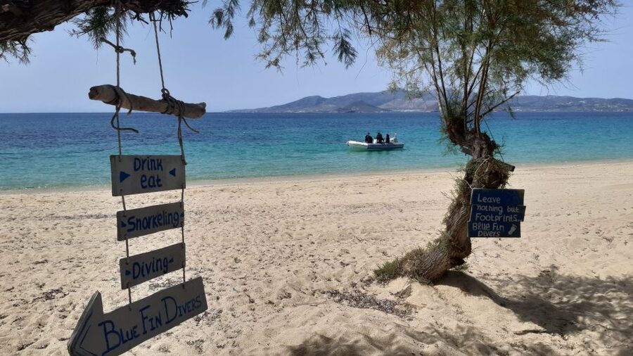 Naxos: Discover Scuba Diving - Your first experience diving - Should you book Blue Fin Divers for your first underwater experience?