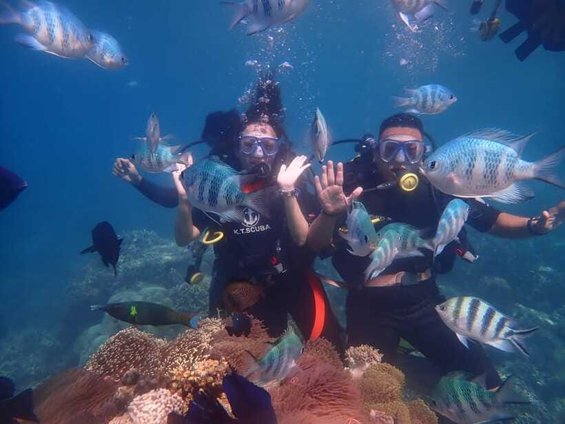 Nha Trang : Scuba diving experience for certified dive - How the day typically flows: pickup, boat transport, lunch, and breaks