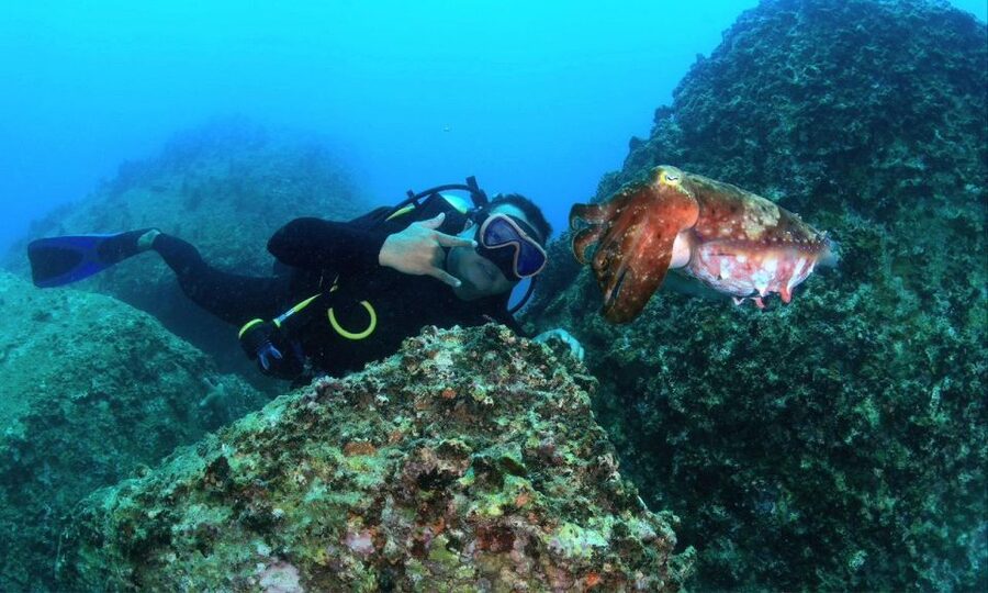 Nha Trang : Scuba diving experience for certified dive - Gear, safety checks, and the one thing you should verify