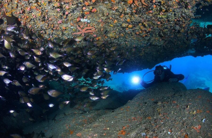 Nha Trang: Scuba Diving Experience for Non-Certified Divers - Who This Nha Trang Experience Fits Best (and Who Should Skip)