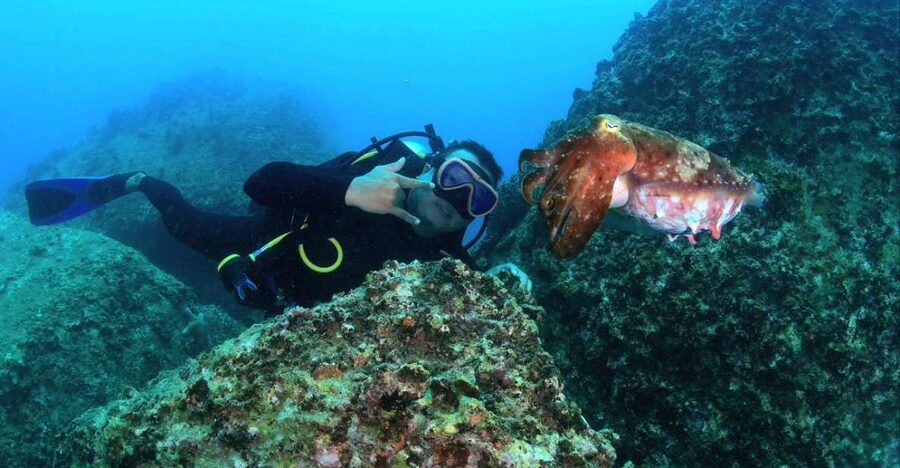 Nha Trang: Scuba Diving Experience for Non-Certified Divers - Price and Value: Is $54 Worth It in Nha Trang?