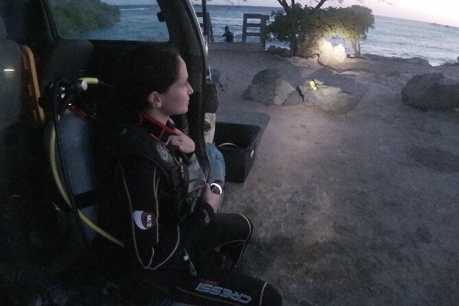 Night Shore Diving Mangel Halto Aruba for Certified Divers - Key highlights you’ll care about