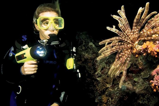 Night Shore Diving Mangel Halto Aruba for Certified Divers - Where you meet and how the evening flows