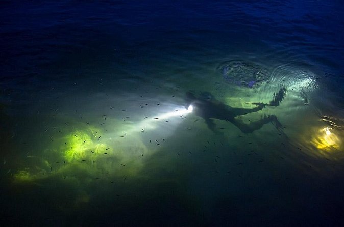 Night Shore Diving Mangel Halto Aruba for Certified Divers - What “1 tank night” really means for your trip