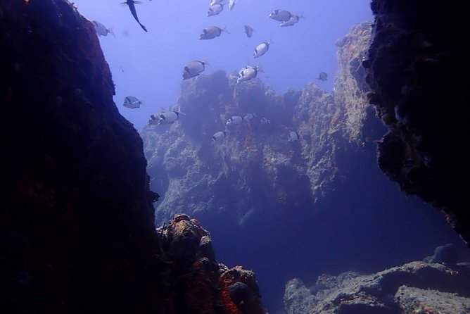 Nima Diving Center, Naxos, Greece - Meeting at Nima, and What You Should Bring (Yes, Your Phone)