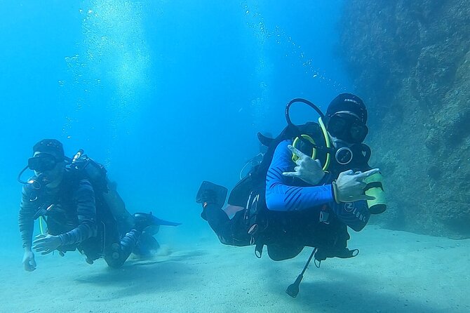 Non-Certified Diving Adventure in Cabo San Lucas - Key Takeaways Before You Go