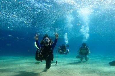 Non-Certified Diving Adventure in Cabo San Lucas - How the Instruction Works: Step-by-Step Before You Go In