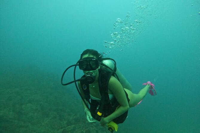 Non-Certified Diving Adventure in Cabo San Lucas - The Plan After You Swim: El Arco and Cabo Views