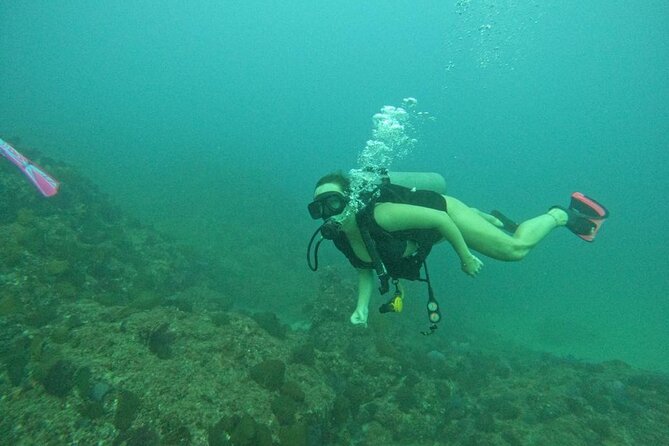 Non-Certified Diving Adventure in Cabo San Lucas - Value and Who This Tour Is Best For