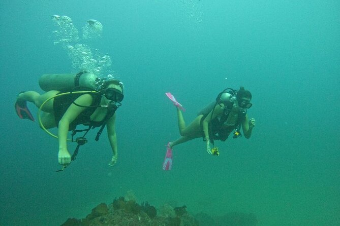 Non-Certified Diving Adventure in Cabo San Lucas - Practical Tips That Make a Big Difference