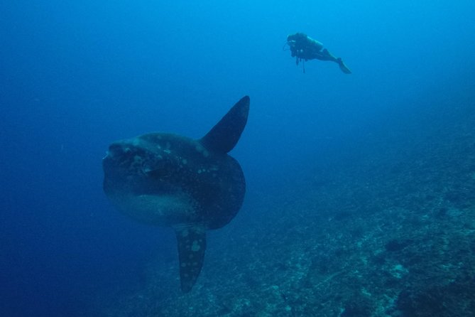Nusa Penida Day Trip for 3 dives - The boat day: lunch, hot drinks, and keeping energy up