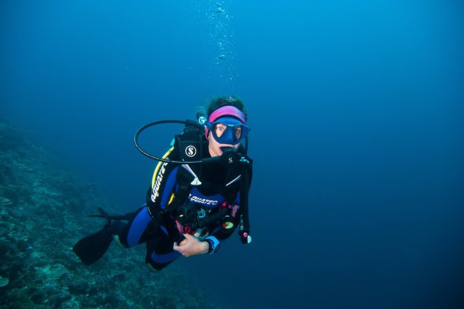 Nusa Penida Three Dives Trip for Certified Divers - Guides You Might Hear About: Intan and Wayan