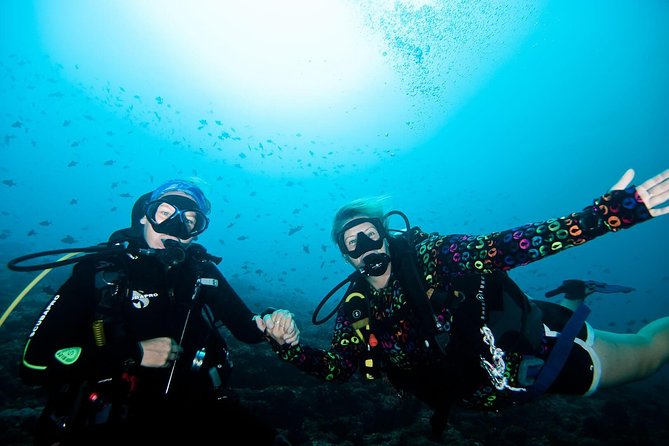 Nusa Penida Try Scuba Diving Program - for Non-Certified Divers - Quick take: what makes this try-scuba feel “safe enough” to enjoy