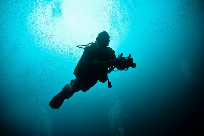 Nusa Penida Two Dives Trip for Certified Divers - Key highlights worth caring about