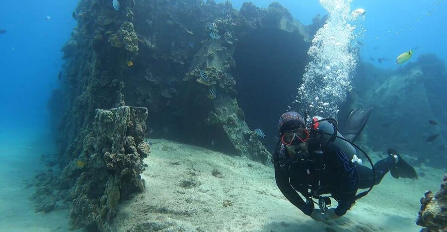 Oahu: Beginner SCUBA Dive at Electric Beach - Key highlights that matter
