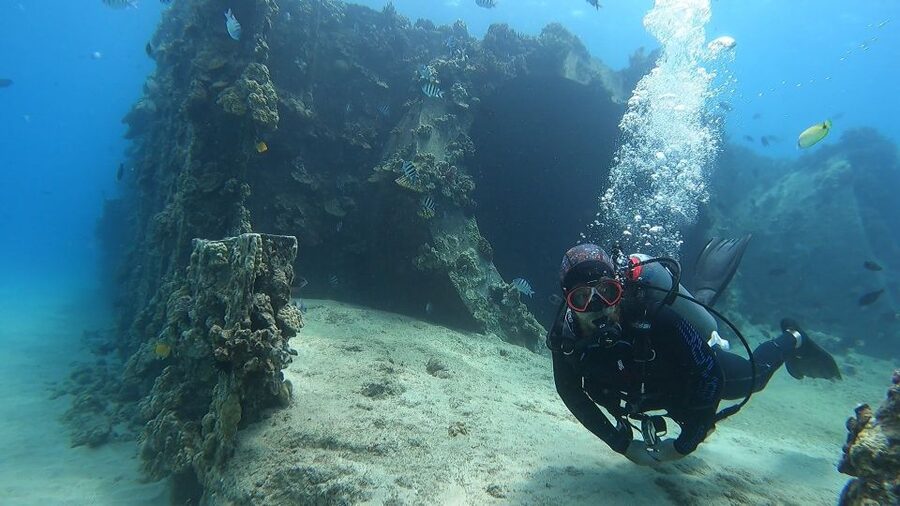 Oahu: Beginner SCUBA Dive at Electric Beach - The 45-minute safety briefing: the part you’ll be glad you paid attention to