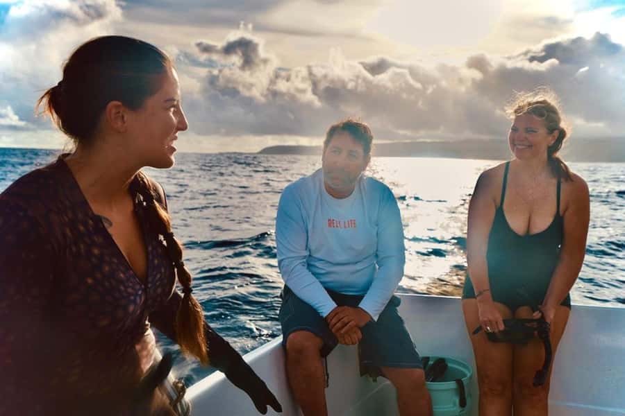 Oahu: Cageless Shark Dive Adventure - The 2-hour plan at Haleiwa: How the timing works