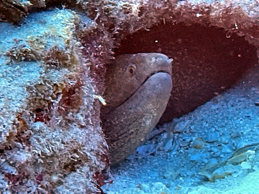 Oahu Night Dive: Adventure for Certified Divers - The surface interval: snacks, refreshments, and a real reset