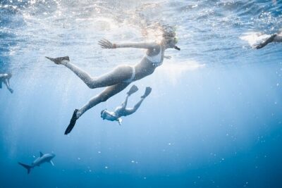 Oahu Open Water Shark Diving Experience - What you get for $150: the real value is the support