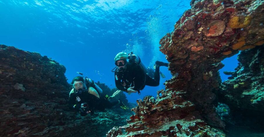 Oahu: Shallow Reef Scuba Dive for Certified Divers - Your Ala Moana start point: getting set fast and feeling safe