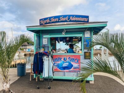 Oahu: Shark Cage Dive on the North Shore - How the crew keeps you safe in the cage