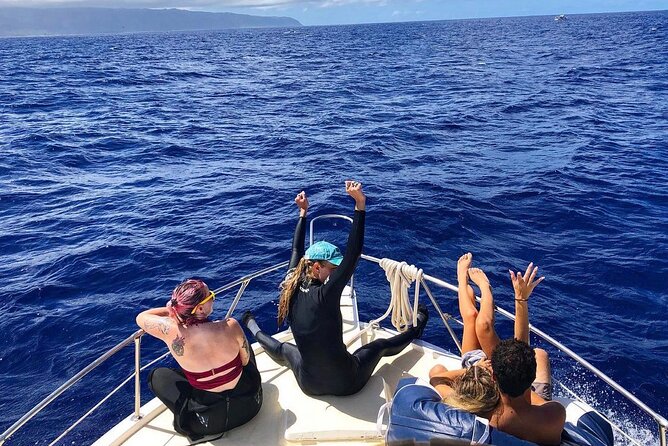 Oahu Shark Dive Educational Tour (No cage) - Waialua Bay, Waimea Bay, and Puaʻena Point: The North Shore Route