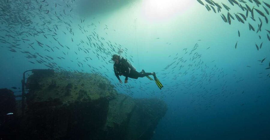 Oahu: Wreck & Reef Scuba Dive for Certified Divers - Key highlights that make this Oahu water tour worth it