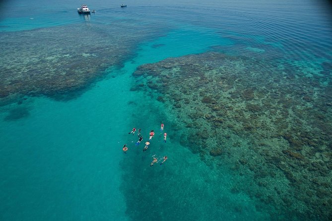 Ocean Freedom Great Barrier Reef Luxury Snorkel and Dive Cruise - Key Highlights Worth Knowing