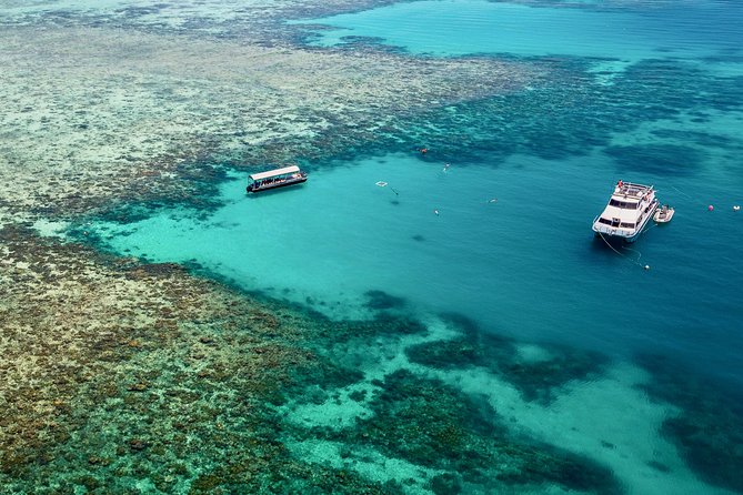 Ocean Freedom Great Barrier Reef Luxury Snorkel and Dive Cruise - Cairns Morning: Getting on Board Without Stress