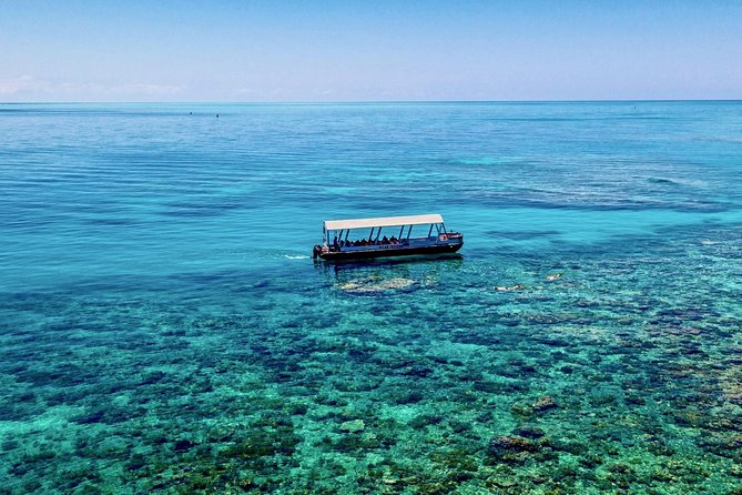 Ocean Freedom Great Barrier Reef Luxury Snorkel and Dive Cruise - Stop 2: Upolu Cay and the Shallow Coral Garden
