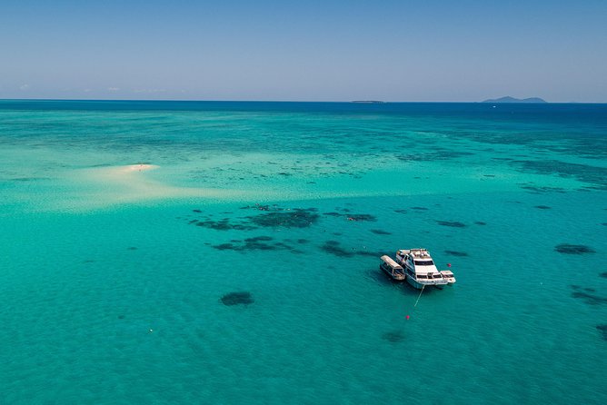 Ocean Freedom Great Barrier Reef Luxury Snorkel and Dive Cruise - The “Adventure Drift” Snorkel Guidance That Makes It Click