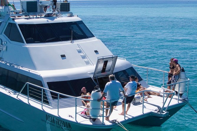 Ocean Freedom Great Barrier Reef Luxury Snorkel and Dive Cruise - Food and Fuel: A Lunch That Doesn’t Feel Like a Token Meal