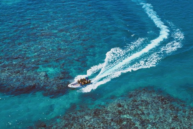 Ocean Freedom Great Barrier Reef Luxury Snorkel and Dive Cruise - Gear, Suits, and Comfort Details You Can Plan Around