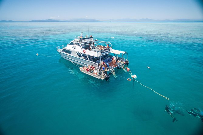 Ocean Freedom Great Barrier Reef Luxury Snorkel and Dive Cruise - Stop 1: Wonder Wall at the Outer Edge of Upolu Reef