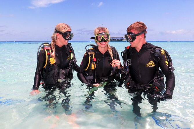 Ocean Spirit Sail to Michaelmas Cay Snorkel or Dive, from Cairns - Michaelmas Cay island time: 4 hours for sand, snorkeling, and wildlife rules