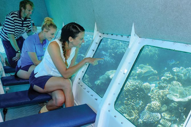 Ocean Spirit Sail to Michaelmas Cay Snorkel or Dive, from Cairns - Semi-submersible coral viewing: staying dry, seeing more than you expect