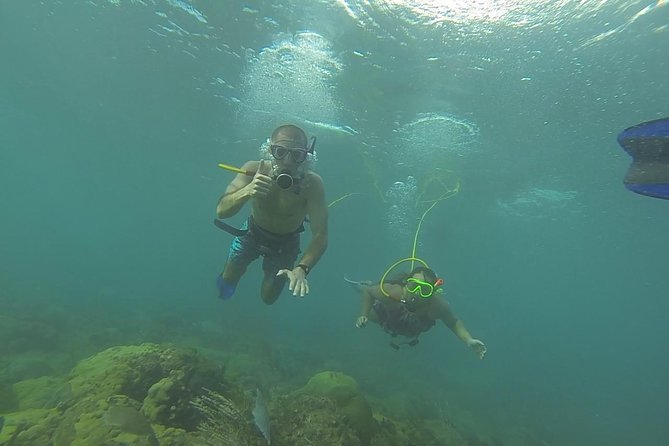 OCTOPUS DIVING (hookah diving) NO Experience Needed - The reef session: about 45 minutes, guided for real sea life